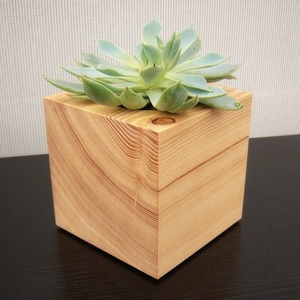 Paquete de Soportes Cuadrados de Madera para Plantas, Mini, Premium, Modernos, Hechos a Mano, Ecológicos, para Bodas y Aniversarios, Venta al Por Mayor a Bajo Precio - Product Image 1