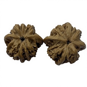 Cuentas de Semilla de Bodhi Natural Fortune Rat de Cuatro Huescos, Pulidas a Mano y Grabadas, Piezas de Colección Wenwan Chino, Regalo de Feng Shui - Product Image 2
