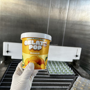 แม่พิมพ์ซิลิโคนขนาดใหญ่ รูปทรงผลไม้ 3 มิติ สำหรับทำไอศกรีมแท่ง ไอศกรีมเจลาโต้ ไอศกรีมแพนด้า สำหรับโรงงานผลิตไอศกรีมยอดนิยม - Product Image 2