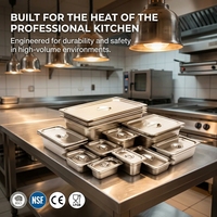 Bac Gastronorm en acier inoxydable avec rebord large pour la restauration commerciale, les restaurants et les cuisines