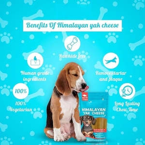 Premium Indian Himalayan Yak Cheese Chews Golosinas para perros de gran tamaño Alta en proteínas Suplemento para mascotas de larga duración OEM ODM Suministro a granel - Product Image 3