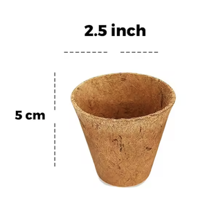 Maceta Biodegradable de Fibra de Coco - Contenedor Ecológico para Plántulas, para Horticultura y Viveros - Product Image 3