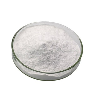 Poudre de probiotique Lactobacillus Salivarius la plus vendue, 10-300 milliards d'UFC/g, pour usage nutraceutique alimentaire et animal, disponible à la vente - Product Image 3