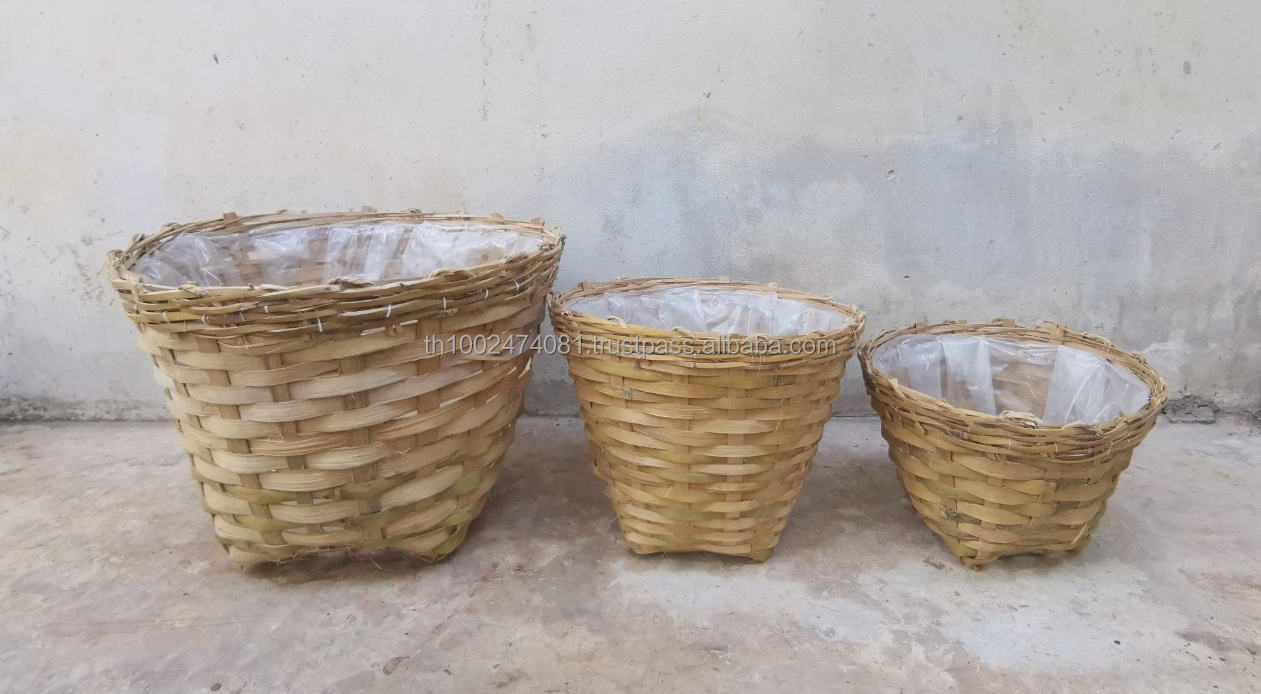 ธรรมชาติ