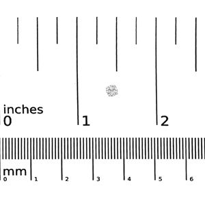 Pendientes Clásicos Solitarios de 4 Puntas, Plata de Ley .925, Color F-G, Claridad VS1-VS2, Diamante Cultivado en Laboratorio, Moissanita - Product Image 5