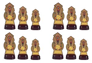 Grand Gloden <b>Trophy</b> with Fiber Finish 28cm Customized Multipurpose Gold Winner <b>Trophy</b> for Events & Ceremonies - Product Image 5