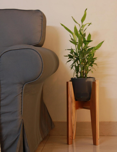 Premium H Shaped Solid Teak Wood <b>Plant</b> Stand Modern Display Rack for Indoor <b>Plants</b> and Home Decoration - Product Image 4