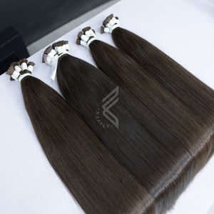 Extensions de cheveux humains vierges à la kératine Extensions de cheveux humains bruts du Vietnam 100G à pointe plate - Product Image 1