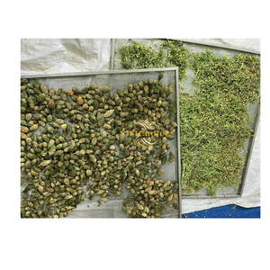 Melón Amargo Silvestre Seco Natural a Granel, Empacado al Vacío, Hierba para Bebidas, 8 Meses de Vida Útil, Vietchoice Vietnam 2026 - Product Image 5