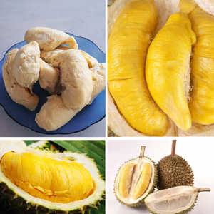 Fruta de Durian Fresca de Vietnam al por Mayor, Alta Calidad, Sabor Dulce, Certificación VietGAP, 12-14 kg/Caja - Viet Delta - Product Image 1