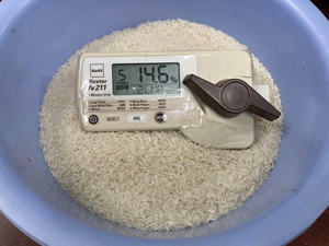 LIBIA IMPORTA ARROZ DE VIETNAM |   ARROZ DE LIBIA EN ÁFRICA: Arroz Japonica, Arroz Jazmín, Arroz de Grano Largo |   WS +84825431311 - Product Image 6