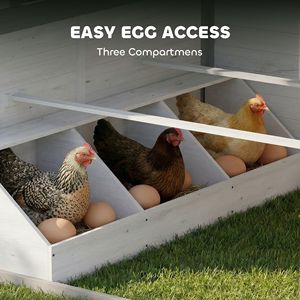 Pollaio in Legno per 2-4 Galline, Gabbia Esterna per Polli con Vasi e Contenitori - Product Image 6