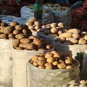 Nouvelle Arrivée 2026 – Pommes de terre fraîches biologiques en gros à bas prix, forme naturelle, stockage frigorifique, exportation mondiale, délicieuses pommes de terre - Product Image 2