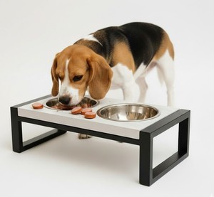 Mangeoire surélevée pour chien, rectangulaire, plateau en bois massif, pieds en métal, double bols en acier inoxydable, meubles pour animaux de compagnie modernes, durables - Product Image 1