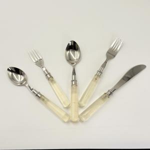 Juego de Cubiertos Reutilizables Ecológicos de Acero Inoxidable de Primera Calidad con Mango de Resina para Cocina, Hoteles, Restaurantes, Venta al por Mayor para Uso Doméstico - Product Image 4