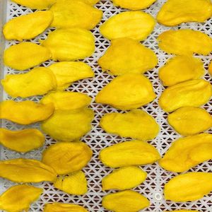 มะม่วงอบแห้งแบบเคี้ยวหนึบ ขนมผลไม้เมืองร้อน สำหรับบรรจุภัณฑ์ขายปลีกและส่วนผสมเบเกอรี่ ผลิตจากเวียดนาม - Product Image 5