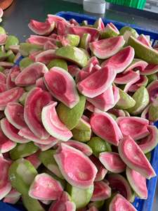 Polvo de Guayaba Liofilizado Natural, Saludable y Delicioso, Grado Alimenticio y para Bebidas, Precio de Fábrica al por Mayor, Vietnam - Product Image 3