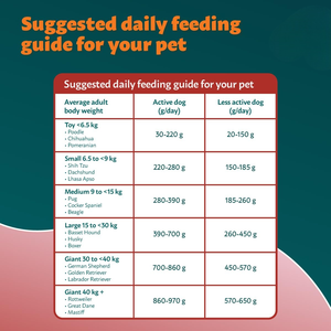 Nourriture sèche pour chiens et chats adultes de qualité supérieure, nutrition complète et équilibrée, races de petite taille, digestion sensible, gain de masse musculaire, peau et pelage sains - Product Image 3
