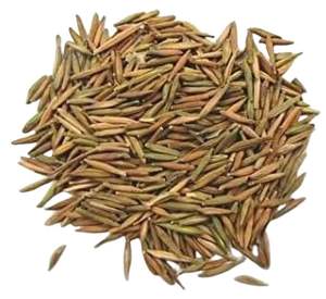 Indrajava alta calidad de calidad alimentaria Extracto de hierbas CO2 Super crítico líquido de extracción alcaloides de semillas en lata de embalaje - Product Image 5