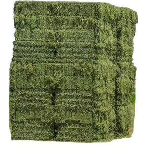 Heno de Alfalfa de Primera Calidad para Alimentación de Ganado, Cerdos, Caballos y Peces - Empaque a Granel - Product Image 6