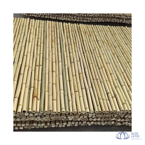 [MEILLEURE QUALITÉ] Matériel en gros de cannes en bambou Tonkin robustes pour la construction personnalisable et les projets créatifs Blue Lotus - Product Image 1