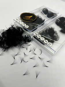 Extensions de cils en PBT coréen, bouquets de volume préfabriqués lâches 14D 0.05mm D Curl 15mm, base pointue, 1000 bouquets/plateau, vente en gros - Product Image 2