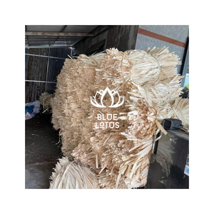 PRÊT À EXPÉDIER Feuilles de palmier Corypha Lecomtei du Vietnam, matière première pour l'artisanat et la production d'emballages tissés, export en vrac - Product Image 1