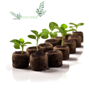 Pastilles de tourbe de coco compressée pour la germination des graines, blocs de culture pour pépinières, terreau nutritif, substrat de culture en fibre de coco - Product Image 4
