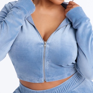 Trendy Sportswear <b>Women</b> Light Blue <b>Velour</b> Hooded Zipper Crop Top And Long Pants 2 Piece Set Casual <b>Tracksuit</b> Matching <b>Women</b> Set - Product Image 3