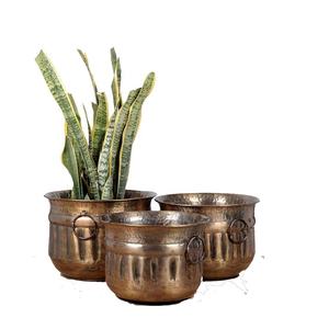 Petite jardinière galvanisée pour les jardins de balcon, les plantes d'intérieur, les herbes, les succulentes, les fleurs, la décoration de la maison, les bureaux, les cafés et les appartements - Product Image 1