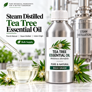 Huile Essentielle d'Arbre à Thé (Melaleuca Alternifolia) Qualité Premium – Fournisseur et Fabricant en Gros en Inde - Product Image 6