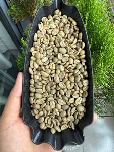 WHOLESALE SINGLE ORIGIN ARABICA <b>COFFEE</b> | VIETNAMESE LIGHT & MEDIUM ROASTED | TOP QUALITY SPECIALTY <b>BEANS</b> - Product Image 1