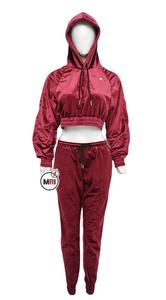 Vente en gros de costume en velours de mode de haute qualité pour les femmes, ensemble de jogging à capuche, survêtement en velours, ensemble de velours personnalisé doux - Product Image 4