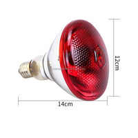 Ampoules chauffantes de haute qualité 100W-300W - Personnalisées pour les porcelets et les poussins