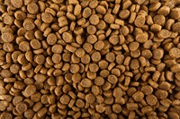 Aliments secs pour chiens et chats de qualité supérieure OEM ODM, ingrédients naturels, formule complète et équilibrée, toutes les étapes de vie, vente en gros, emballage personnalisé