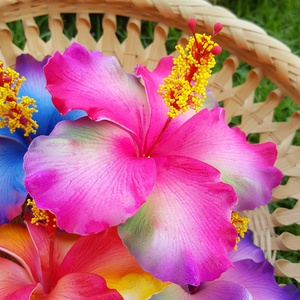 Tốt Nhất Người Bán Chất Lượng Cao Tuyệt Vời Sản Phẩm <span class=keywords><strong>Handmade</strong></span> Nhân Tạo Hibiscus Bọt Hoa (Gói 100 Miếng) - Product Image 4