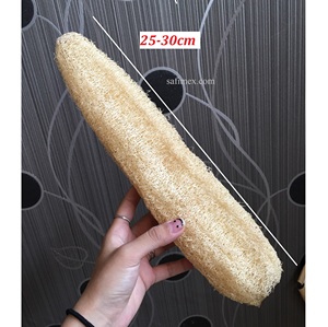 High Quality Organic Grown Natural Loofah Sponge 25-30cm for Bath and Kitchen Use Bulk Export from Vietnam Farm Good Price - Product Image 1