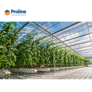 Film de serre agricole double couche grand format, PE robuste résistant aux UV, longue durée de vie, multi-voûtes, prix usine Proline Vn - Product Image 5