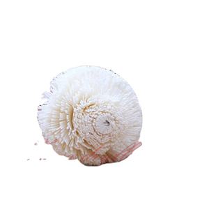 Difusor de Aroma de Madera Sola Hecho a Mano con Flores Artificiales, Decoración Moderna para Fiestas en Diversas Estaciones - Product Image 1