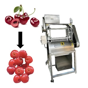 Equipo de Descorazonado de Frutas de Acero Inoxidable Totalmente Automático para Exportación de Calidad - Product Image 3