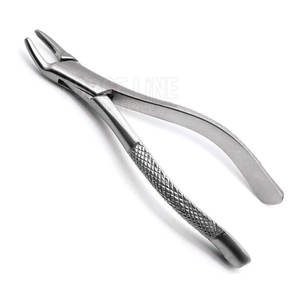<b>Dental</b> Instrument For Efficient Tooth Extraction With Smooth Operation For <b>Dental</b> Professionals <b>Dental</b> Extracting Forceps - Product Image 3