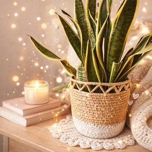 Modern Handmade Rattan Woven Flower Pot Bohemian Style Indoor Plant Decor Natural Finish Desktop Use - Product Image 1
