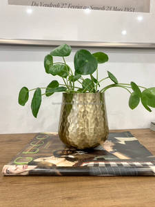 Nouveau métal jardin balcon pots de fleurs décoratifs et jardinières intérieur et extérieur utilisation verte or métal support jardinière Inde - Product Image 3