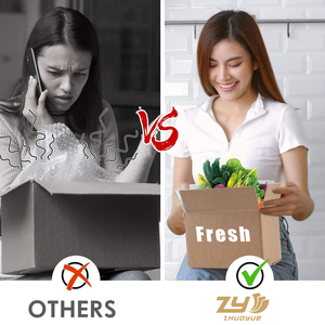 Biểu Tượng Tùy Chỉnh Cá Thịt Rau Trái Cây Xốp Ăn Trưa Cách Điện Vận Chuyển Hộp Lớn Đông Lạnh Sản Phẩm Nhôm Lá Mỏng Miếng Bọt Biển Carton - Product Image 5
