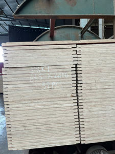 Tablero de contrachapado vietnamita de alta calidad de 635x2400 mm para la construcción y mantenimiento de contenedores - Product Image 3