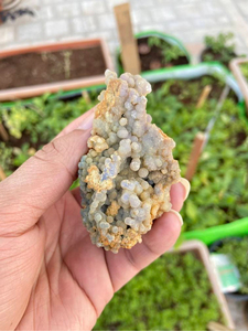 Natural Grape Agate <b>Crystal</b> | Purple Botryoidal Chalcedony Mineral Specimen | Collector Display Stone - Product Image 1