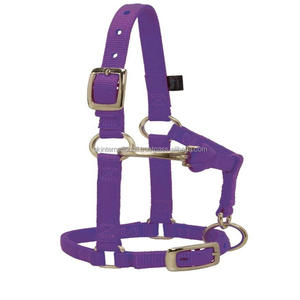 Cabestro ligero de nailon colorido para caballo, tallas personalizadas, doble ajuste, cabestro de nailon para carreras de caballos en opción de colores vibrantes - Product Image 5