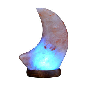 Lampe de sel rose de l'Himalaya 100 % naturelle et écologique 2025 avec variateur d'intensité, motif lune sculptée style amour, tailles personnalisées, vente en gros - Product Image 4