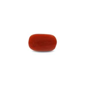 Natural Red Coral Oval Cabochon Loose Gemstone 12.5 Carat Certified Wholesale - Product Image 2