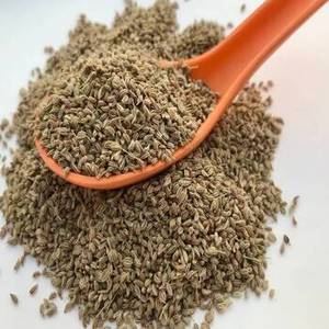 Premium Dried Gujarat Ajwain Seeds Granules Sortexed Bulk Food Grade Packaging Germany Market FitTree Single <b>Herbs</b> <b>Spices</b> 24 - Product Image 5